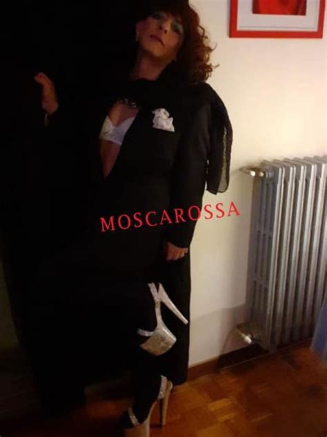 escort mirafiori sud|Escort Torino Cristina stupenda escort per soddisfar